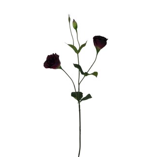 Arti Flora Lisianthus Kunstbloem | Kleur: Bordeauxrood | Eustoma kunstbloemen | Lengte ± 65 centimeter | Per stuk