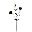 Lisianthus fleur artificielle | Couleur: Bordeaux | Eustoma fleurs artificielles | Longueur ± 65 centimeter | Par pièce