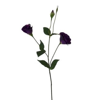Arti Flora Lisianthus fleur artificielle | Couleur: Violet | Eustoma fleurs artificielles | Longueur ± 65 centimeter | Par pièce