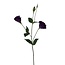Lisianthus fleur artificielle | Couleur: Violet | Eustoma fleurs artificielles | Longueur ± 65 centimeter | Par pièce