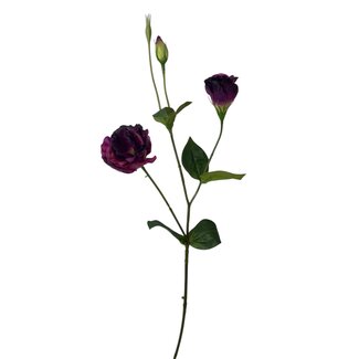 Arti Flora Lisianthus fleur artificielle | Couleur: violet foncé | Eustoma fleurs artificielles | Longueur ± 65 centimeter | Par pièce