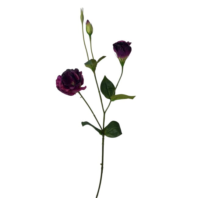Lisianthus Artif | Purple Dark | 65 cm |  Per stem