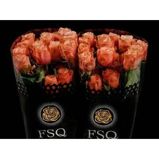 Freshy Grootbloemige Roos “Kahala” | Kleur: Roze | Lengte ± 70 centimeter | Herkomst Ecuador | Per 20 verse bloemen