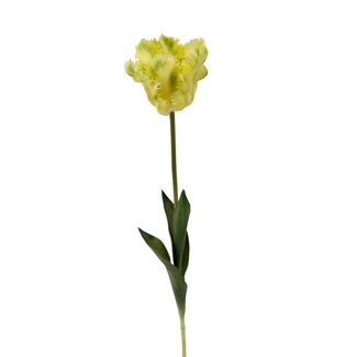 Arti Flora Tulip Parrot Artif | Yellow Green | 60 cm |  Per stem
