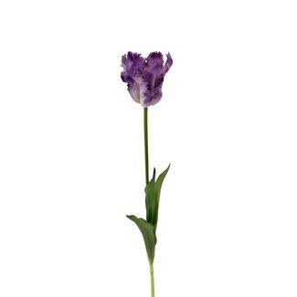 Arti Flora Perruche Tulipe Fleur artificielle | Couleur: Violet Blanc | Tulipa fleurs artificielles | Longueur ± 60 centimeter | Par pièce