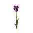 Perruche Tulipe Fleur artificielle | Couleur: Violet Blanc | Tulipa fleurs artificielles | Longueur ± 60 centimeter | Par pièce