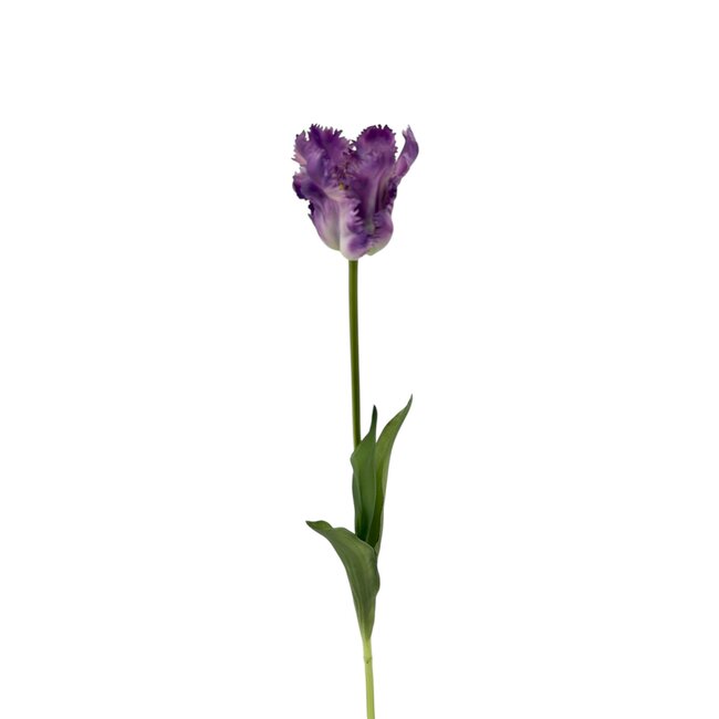 Perruche Tulipe Fleur artificielle | Couleur: Violet Blanc | Tulipa fleurs artificielles | Longueur ± 60 centimeter | Par pièce