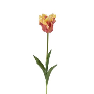 Arti Flora Tulip Parrot Artif | Yellow Orange | 60 cm |  Per stem