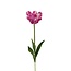 Parkiet Tulp Kunstblume | Farbe: Rosa Weiß | Tulipa Kunstblumen | Länge ± 60 centimeter | Pro Stück