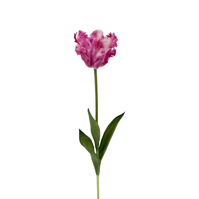 Parkiet Tulp Kunstbloem | Kleur: Roze Wit | Tulipa kunstbloemen | Lengte ± 60 centimeter | Per stuk