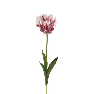 Arti Flora Tulipe Parkiet Fleur artificielle | Couleur: Blanc Violet | Tulipa fleurs artificielles | Longueur ± 60 centimeter | Par pièce