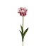 Wellensittich Tulpe Kunstblume | Farbe: Weiß Lila | Tulipa Kunstblumen | Länge ± 60 centimeter | Pro Stück