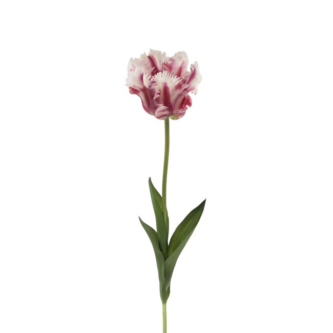 Parkiet Tulp Kunstbloem | Kleur: Wit Paars | Tulipa kunstbloemen | Lengte ± 60 centimeter | Per stuk