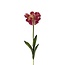 Parkiet Tulp Kunstbloem | Kleur: Wit Rood | Tulipa kunstbloemen | Lengte ± 60 centimeter | Per stuk