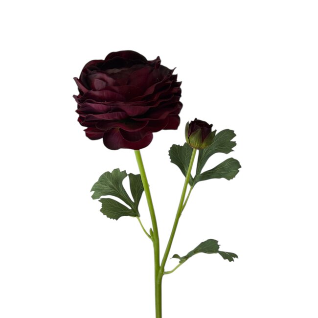 Ranunculus Artificial Flower | Colour: Bordeaux red | Ranunculus artificial flowers | Length ± 45 centimetre | 2 flower heads per stem | Per piece