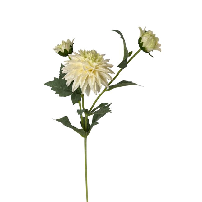 Dahlie Kunstblume | Farbe: Natürlich Weiß | Länge ± 60 centimeter | 3 Blütenköpfe per Stiel | Pro Stück