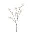 Fleur de cerisier artificielle | Couleur: Blanc naturel | Longueur ± 115 centimeter | Par pièce
