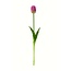 Tulpe Kunstblume | Farbe: Violett | Tulipa Kunstblumen | Länge ± 45 centimeter | Pro Stück