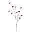 Beerenzweig Kunstblume | Farbe: Rot | Länge ± 110 centimeter | Pro Stück