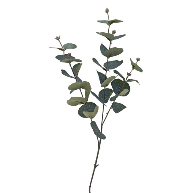 Eukalyptus Zweig Kunstblume | Farbe: Grün | Länge ± 70 centimeter | Pro Stück