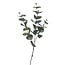 Branche d'eucalyptus Fleur artificielle | Couleur: Vert | Longueur ± 70 centimètre | À l'unité