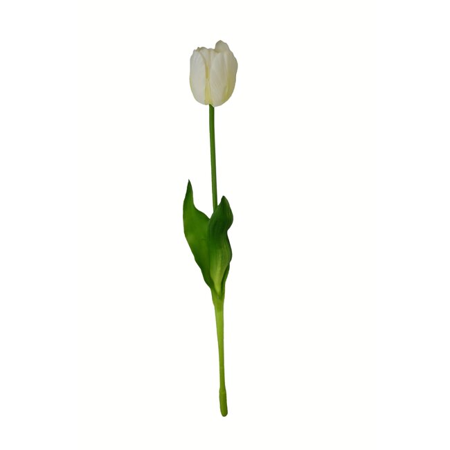 Tulp Kunstbloem | Kleur: Natuurlijk Wit | Tulipa kunstbloemen | Lengte ± 45 centimeter | Per stuk