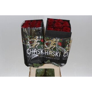 Freshy Grootbloemige Roos “Explorer” | Kleur: Rood | Lengte ± 60 centimeter | Herkomst Ecuador | Per 25 verse bloemen