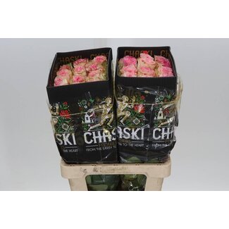 Freshy Grootbloemige Roos “Esperance” | Kleur: Roze | Lengte ± 60 centimeter | Herkomst Ecuador | Per 25 verse bloemen