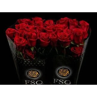 Freshy Grootbloemige Roos “Freedom” | Kleur: Rood | Lengte ± 60 centimeter | Herkomst Ecuador | Per 20 verse bloemen