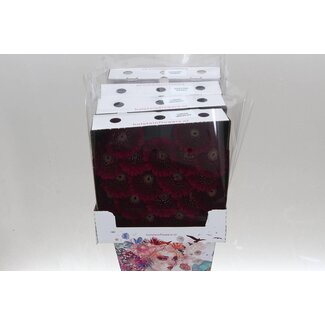 Freshy Gerbera Pomponi Danee Mi Aqua | Kleur: Paars | Lengte ± 50 centimeter | Per 20 verse bloemen