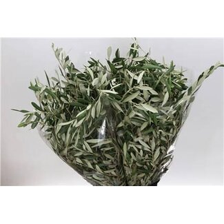 Freshy Olijf 400gr (p. bos)