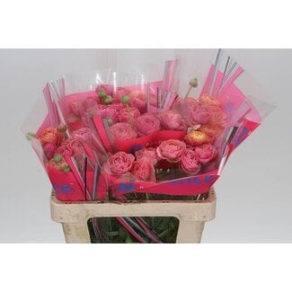 Freshy Ranunculus Ranonkel Romance “Courchevel” | Kleur: Gemengde Kleuren | Lengte ± 50 centimeter | Per 10 stelen verse bloemen