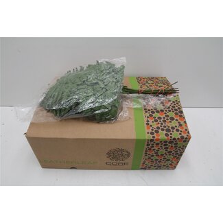 Freshy Rumohra Ledervaren Klein | Kleur: Groen | Lengte ± 35 centimeter | 20 takken per bos | Per 5 bossen