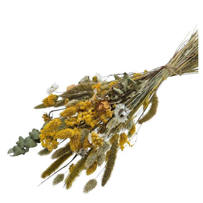 Strauß Trockenblumen “Cute yellow” | Farbe: Gemischte Farben Gelb | Länge ± 50 centimeter | Pro Strauß