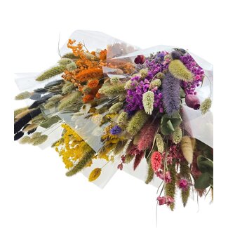 Dried Concepts Ensemble de bouquets de fleurs séchées “Cute mix” | Couleur: Couleurs mélangées | Longueur ± 50 centimeter | Par 5 bouquets