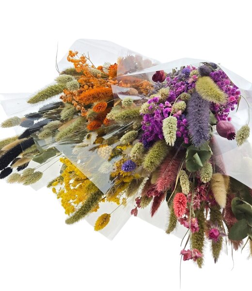Dried Concepts Ensemble de bouquets de fleurs séchées “Cute mix” | Couleur: Couleurs mélangées | Longueur ± 50 centimeter | Par 5 bouquets