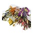 Boeketten Droogbloemen Set “Cute mix” | Kleur: Gemengde Kleuren | Lengte ± 50 centimeter | Per 5 bossen