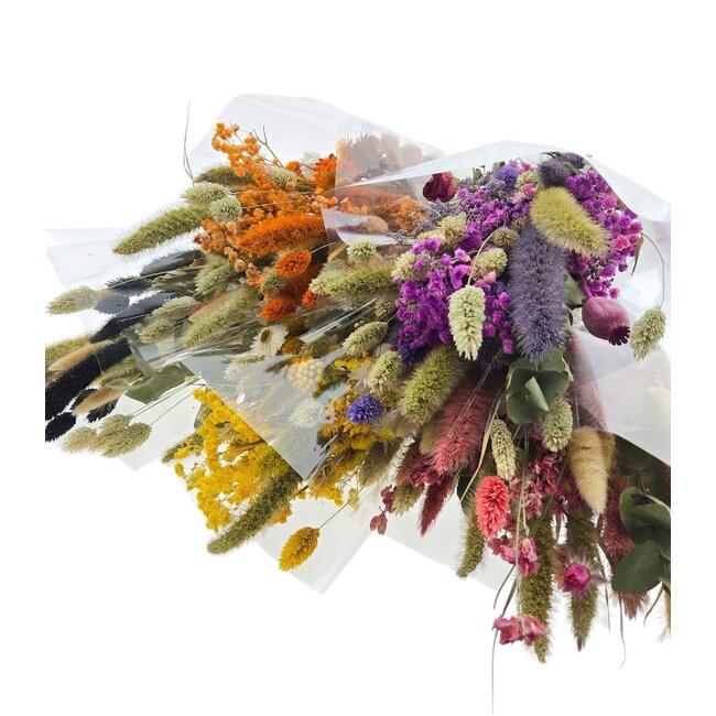 Boeketten Droogbloemen Set “Cute” | Kleur: Gemengde Kleuren | Lengte ± 50 centimeter | Per 5 bossen