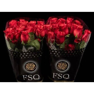 Freshy Grootbloemige Roos “Bromo” | Kleur: Rood | Herkomst Ecuador | Lengte ± 50 centimeter | Per 20 verse bloemen