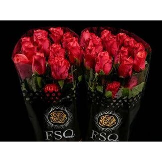 Freshy Grootbloemige Roos “Bogart” | Kleur: Rood | Herkomst Ecuador | Lengte ± 40 centimeter | Per 20 verse bloemen