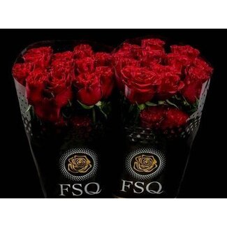 Freshy Grootbloemige Roos “Hearts” | Kleur: Rood | Herkomst Ecuador | Lengte ± 50 centimeter | Per 20 verse bloemen