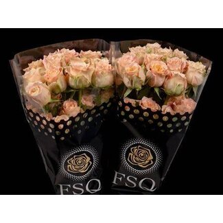 Freshy Grootbloemige Roos “Country Louise” | Kleur: Roze | Herkomst Ecuador | Lengte ± 50 centimeter | Per 20 verse bloemen