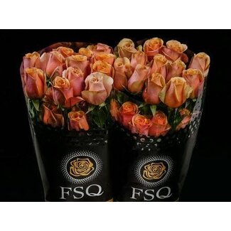 Freshy Grootbloemige Roos “Golden Mustard” | Kleur: Bruin | Herkomst Ecuador | Lengte ± 60 centimeter | Per 20 verse bloemen