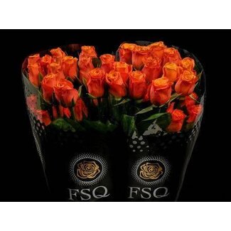 Freshy Grootbloemige Roos “Confidential” | Kleur: Oranje | Herkomst Ecuador | Lengte ± 60 centimeter | Per 20 verse bloemen