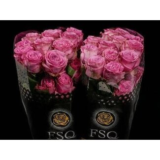 Freshy Grootbloemige Roos “Queen's Crown” | Kleur: Roze | Herkomst Ecuador | Lengte ± 50 centimeter | Per 20 verse bloemen