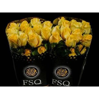 Freshy Grootbloemige Roos “Tara” | Kleur: Geel | Herkomst Ecuador | Lengte ± 40 centimeter | Per 20 verse bloemen