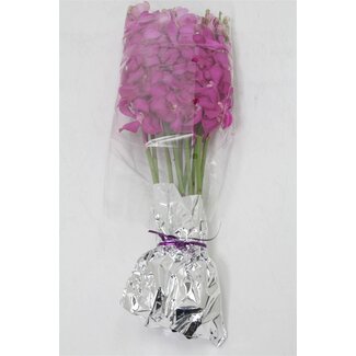 Freshy Orchidee Mokara “Calipso L” | Kleur: Roze Paars | Lengte ± 60 centimeter | Per 10 stelen verse bloemen