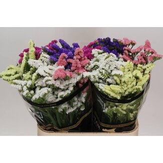 Freshy Limonium Statice Sinuata Gemengd | Kleur: Gemengde Kleuren | Lengte ± 80 centimeter | Per 25 stelen verse bloemen