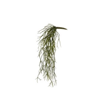 4A Rhipsalis Cactus corail Fleur artificielle | Couleur: Vert | Longueur ± 64 centimètre | Par fleur artificielle