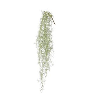 4A Tillandsia Usneoides Spanisches Moos Kunstpflanze | Farbe: Grün | Länge ± 86 centimeter | Pro Kunstpflanze